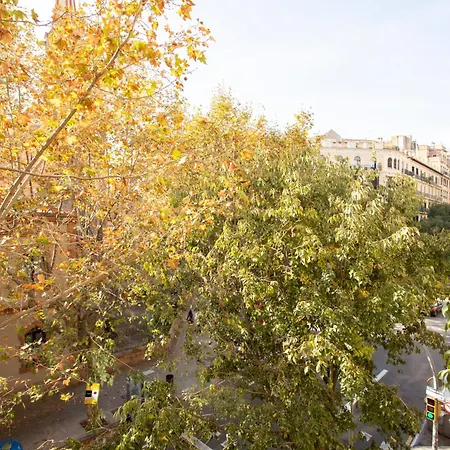 Radiant Vista Eixample